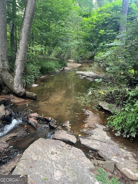 1221 Martin Nash Road Southwest Lilburn, GA 30047 - Photo 8 of 31 a view of a lake from a dry yard