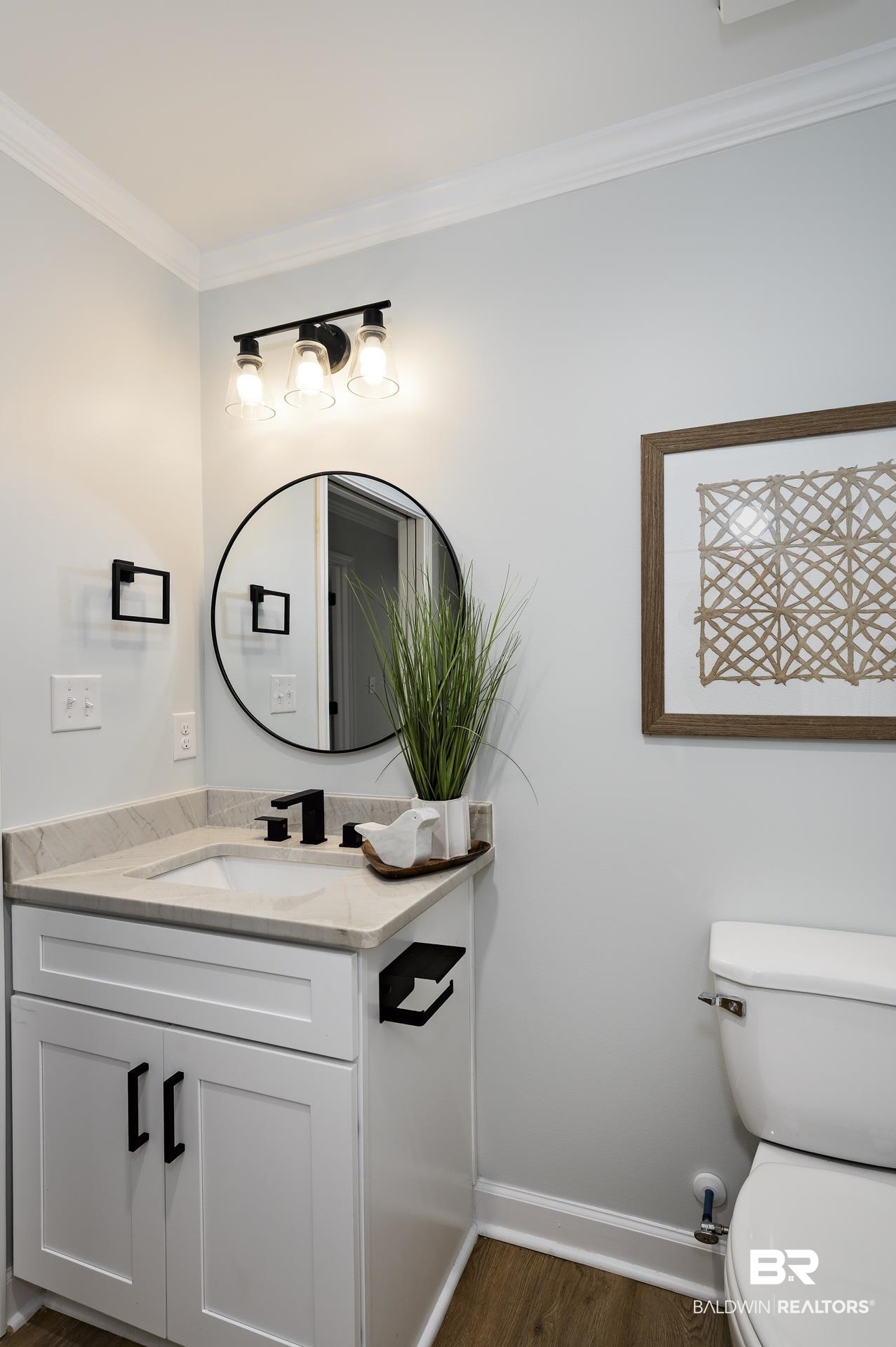 6001 Camp Halls Mill Road Mobile, AL 36619 - Photo 25 of 52 Bathroom with ornamental molding, vanity, and dark wood-type flooring
