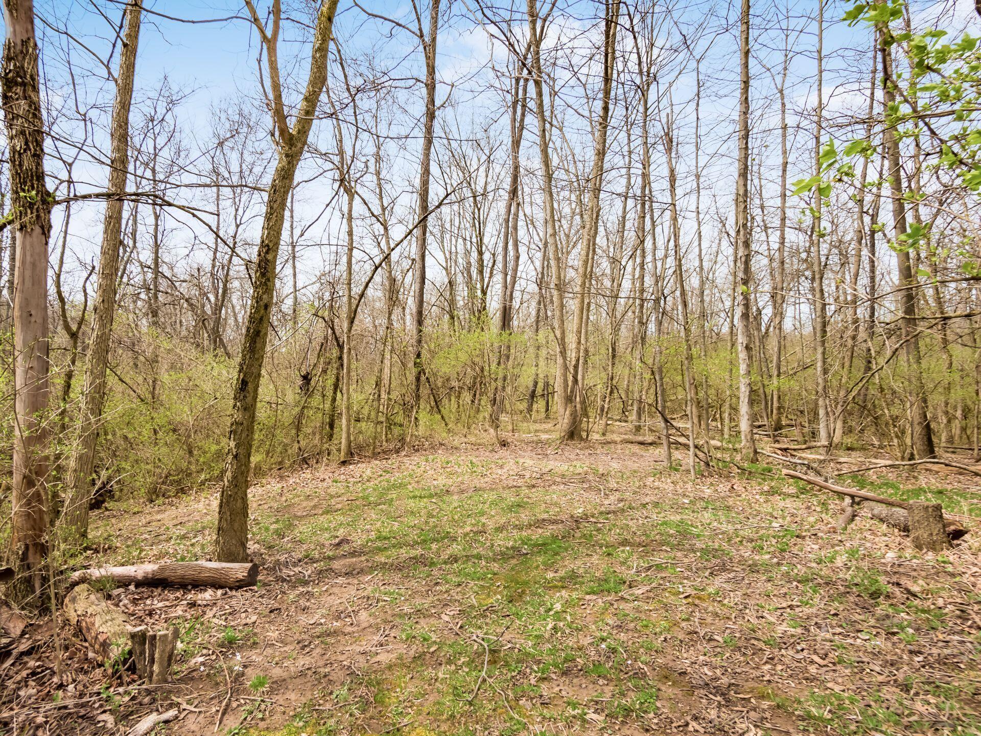 2117 Amity Road Hilliard, OH 43026 - Photo 49 of 66 058_4ccf63c3_A 2117 Amity 119