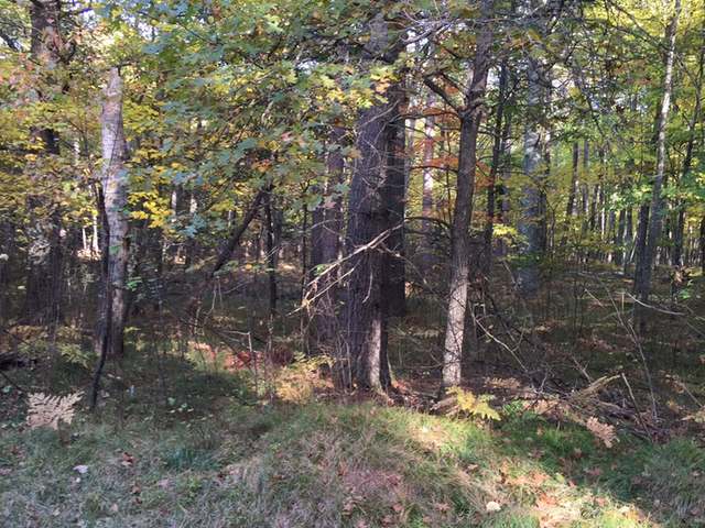 On Gross Road Woodruff, WI 54568 - Photo 5 of 8 Gallery Image 5