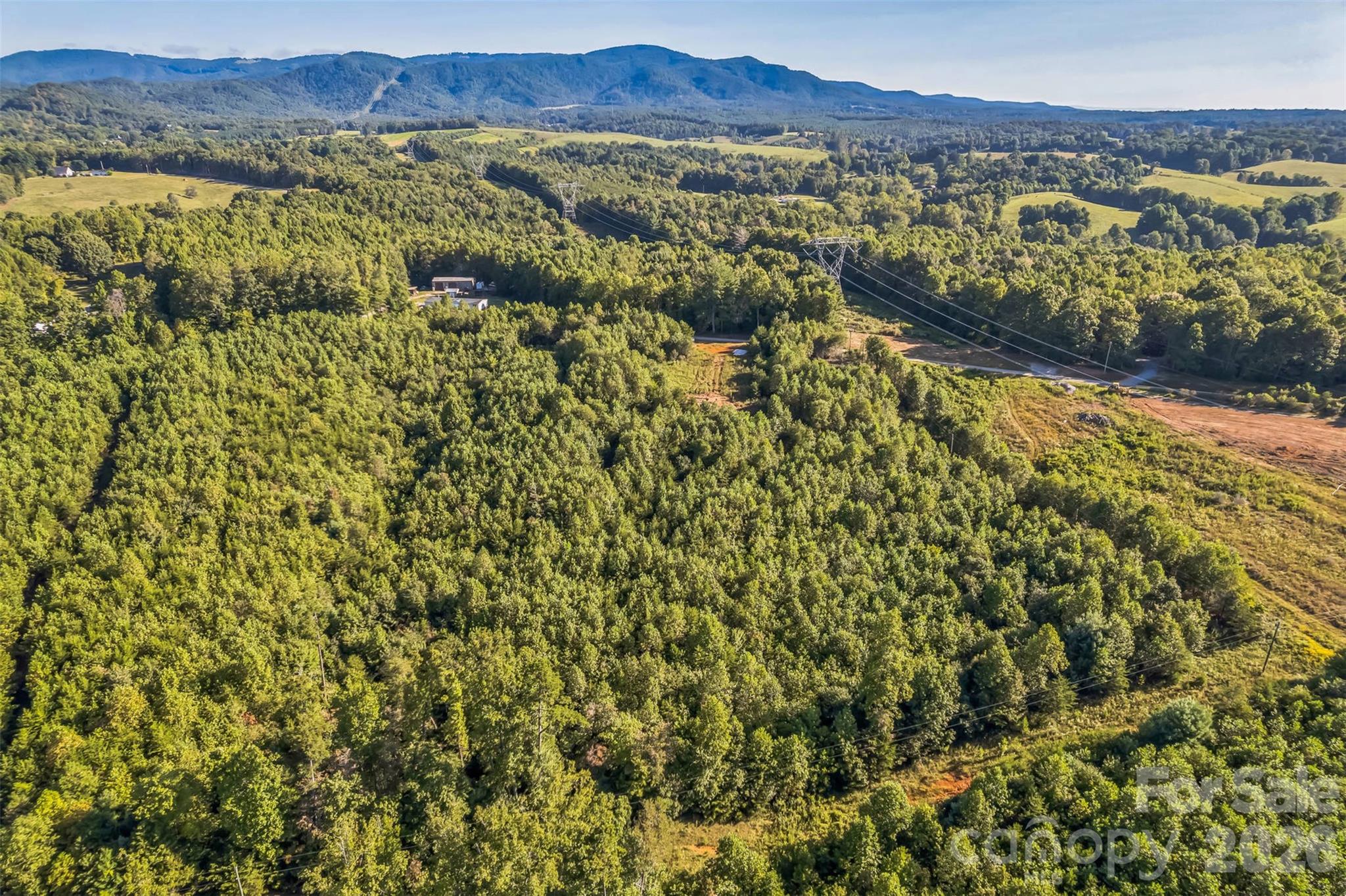 307 Rc Road Traphill, NC 28685 - Photo 8 of 15 Gallery Image 8