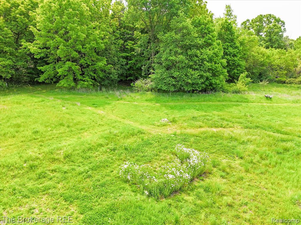 11305 Cook Road Gaines, MI 48436 - Photo 66 of 72