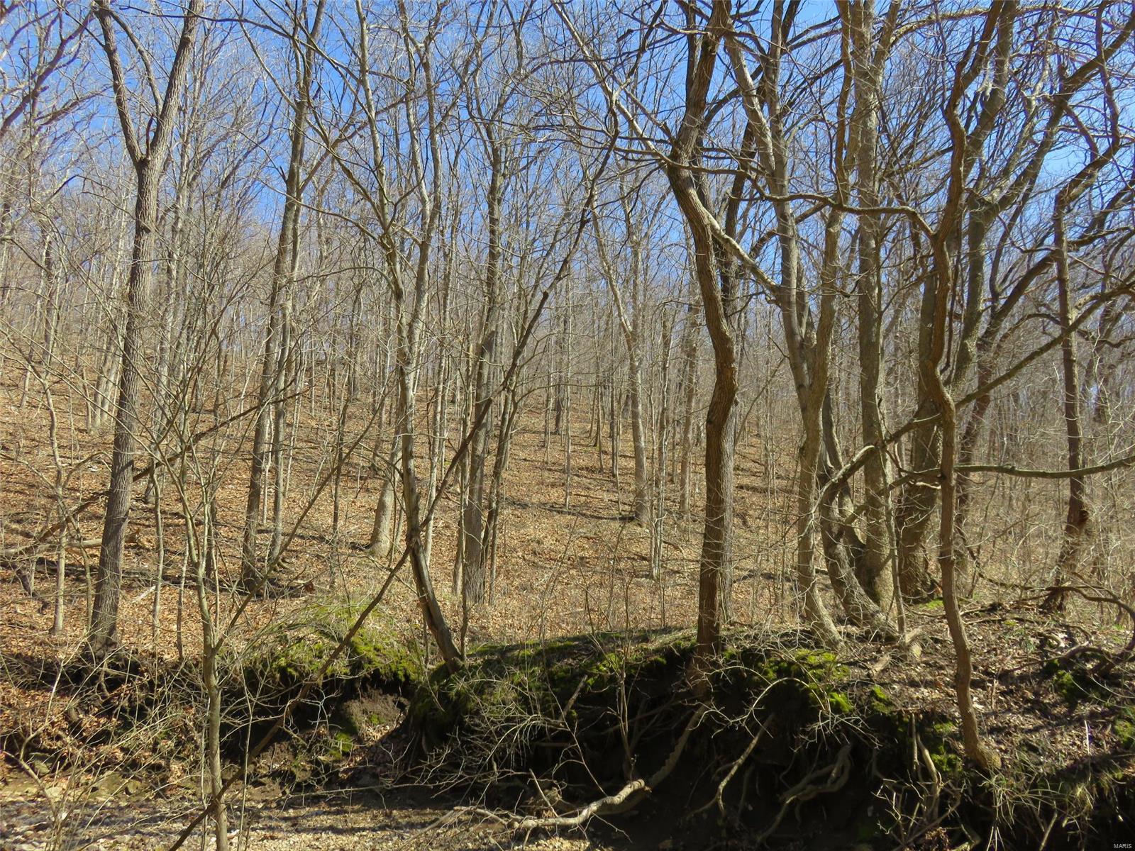 0 Dark Hollow Road Fieldon, IL 62031 - Photo 2 of 8