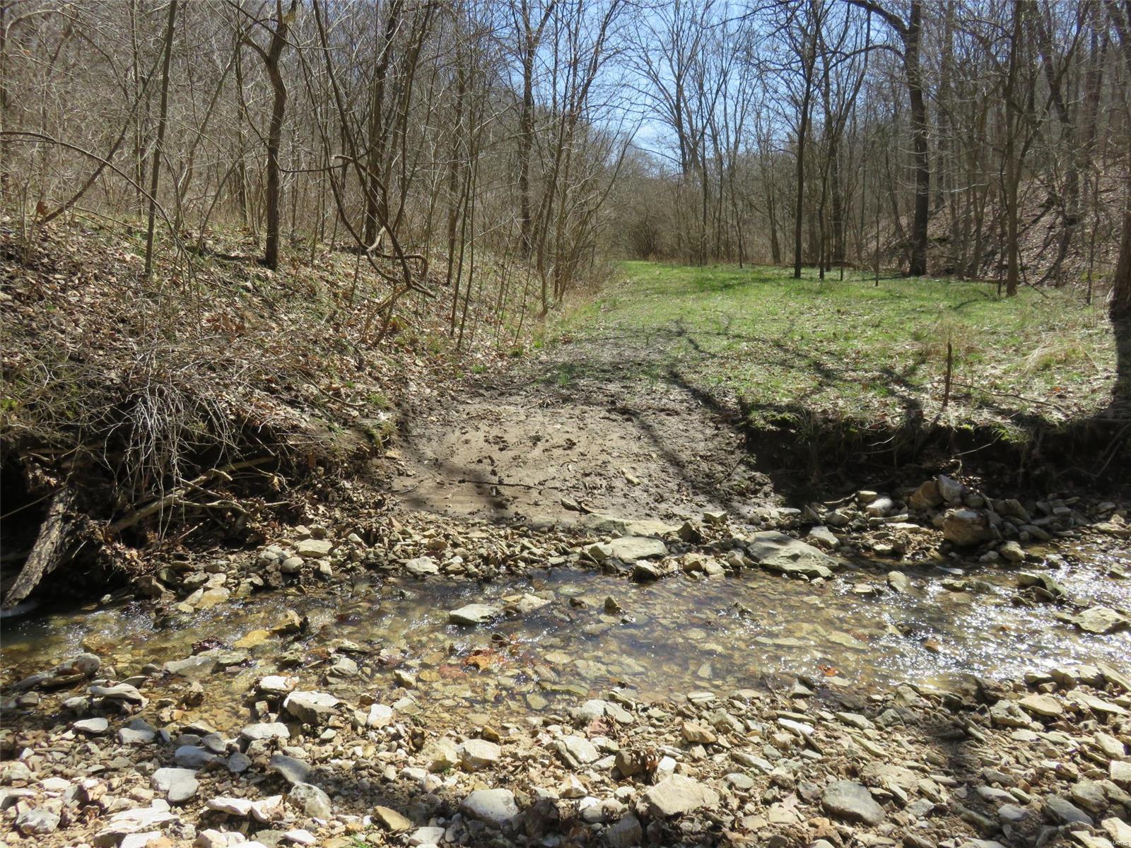 0 Dark Hollow Road Fieldon, IL 62031 - Photo 3 of 8