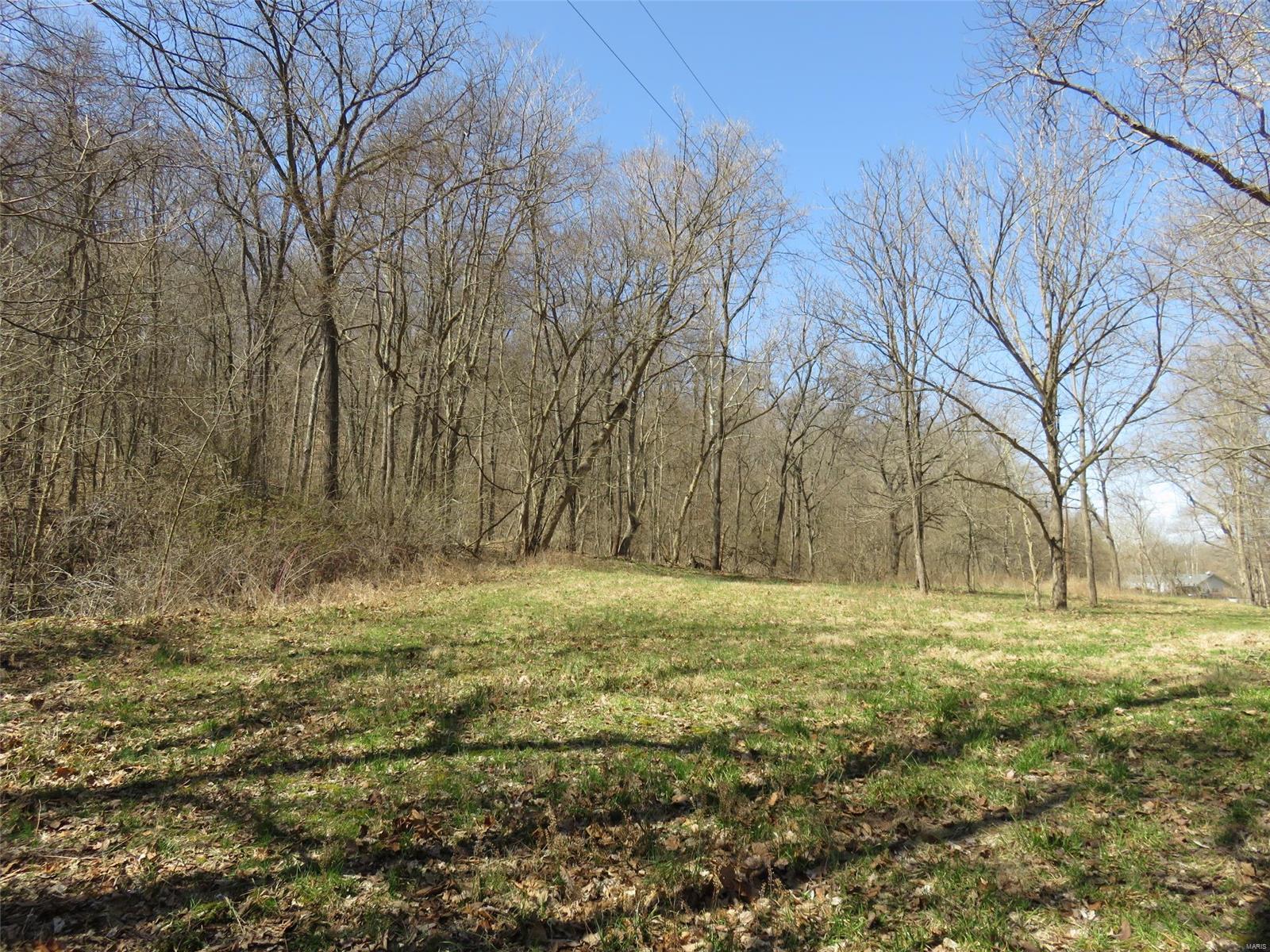0 Dark Hollow Road Fieldon, IL 62031 - Photo 4 of 8