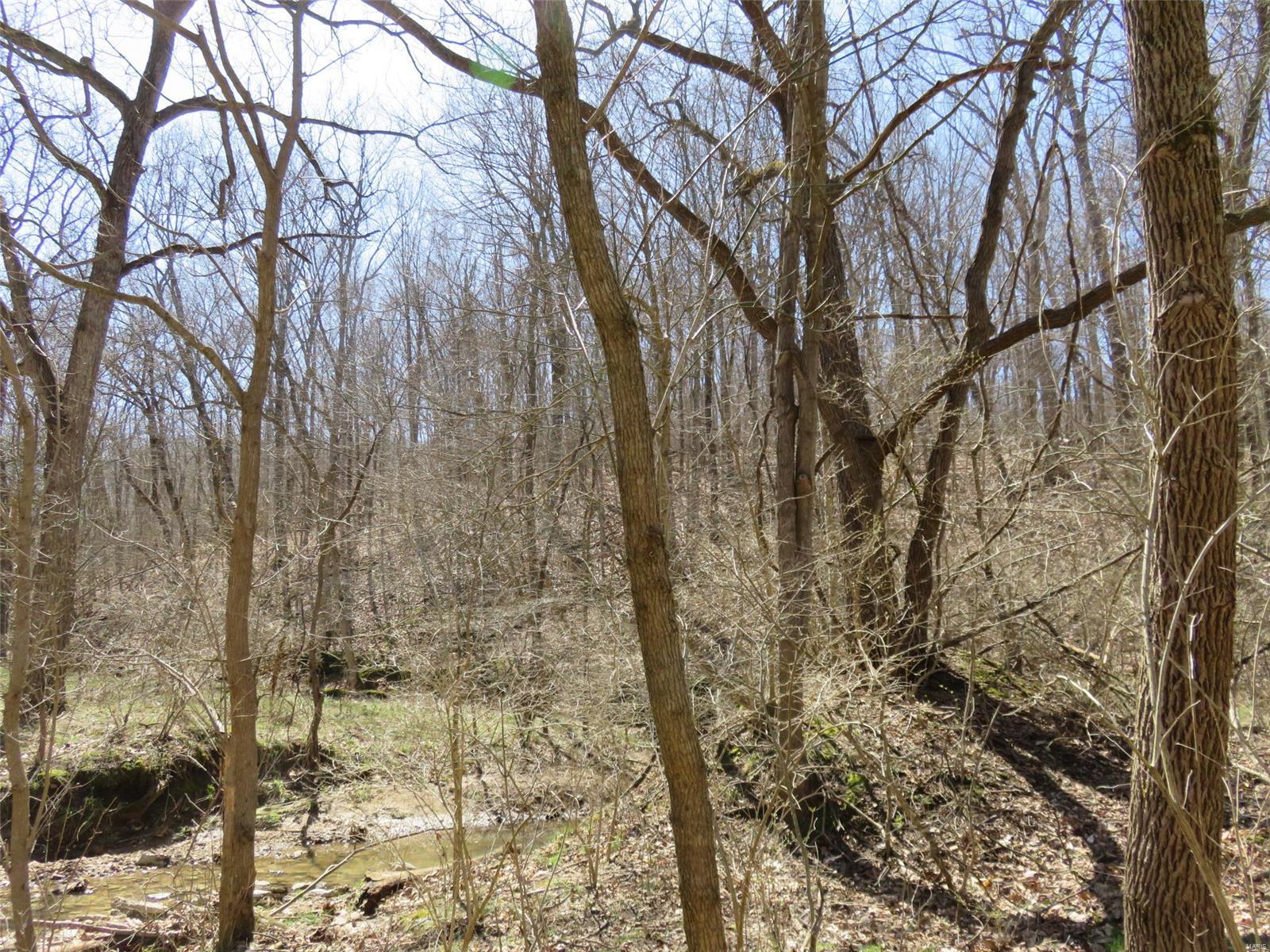 0 Dark Hollow Road Fieldon, IL 62031 - Photo 5 of 8