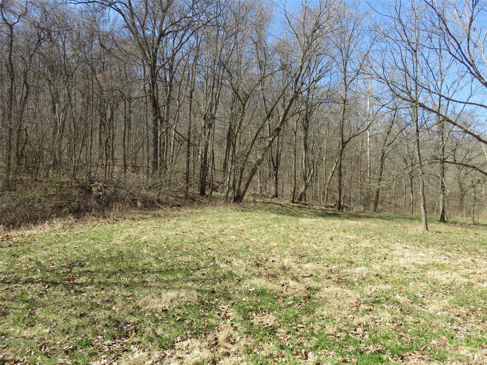 0 Dark Hollow Road Fieldon, IL 62031 - Photo 6 of 8