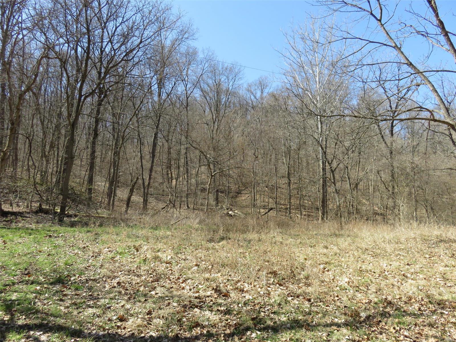 0 Dark Hollow Road Fieldon, IL 62031 - Photo 7 of 8