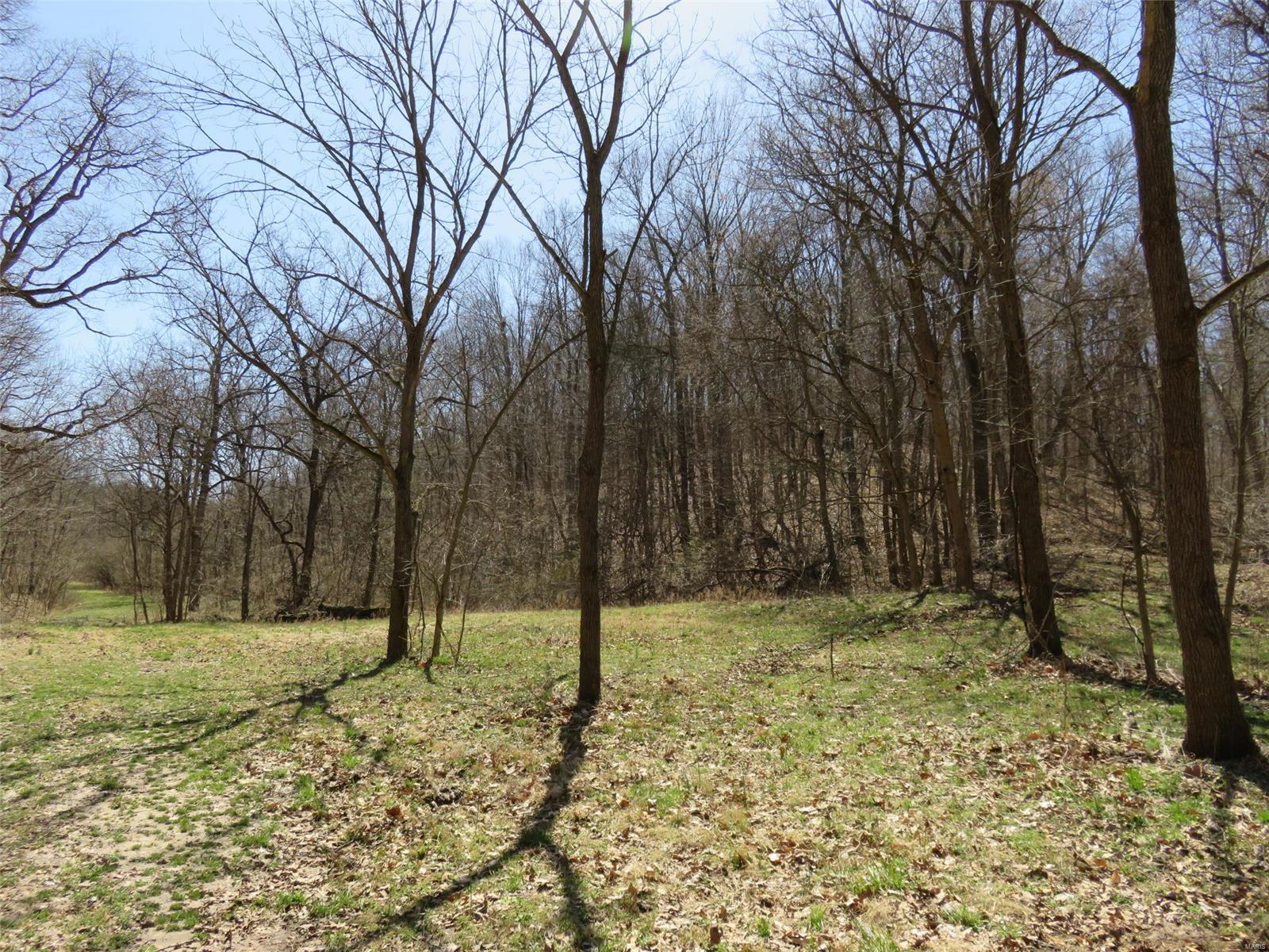 0 Dark Hollow Road Fieldon, IL 62031 - Photo 8 of 8