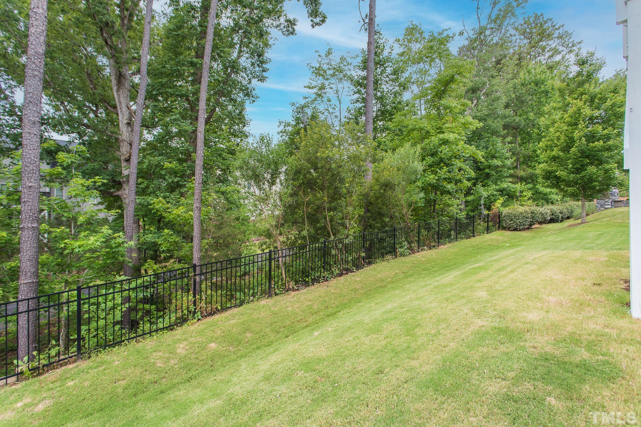 5281 Aleppo Lane Raleigh, NC 27613 - Photo 48 of 57 a view of a yard with potted plants and large trees