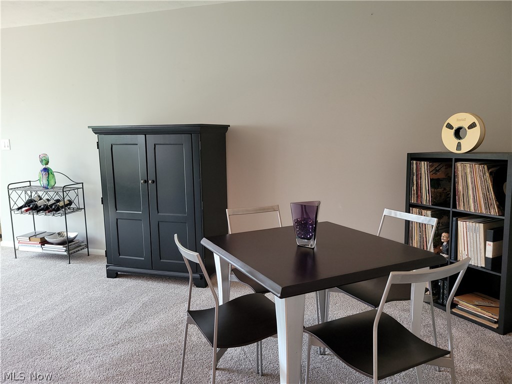 985 Canyon View Road, Unit 202B Northfield, OH 44067 - Photo 5 of 29 Newer Plush Carpeting
