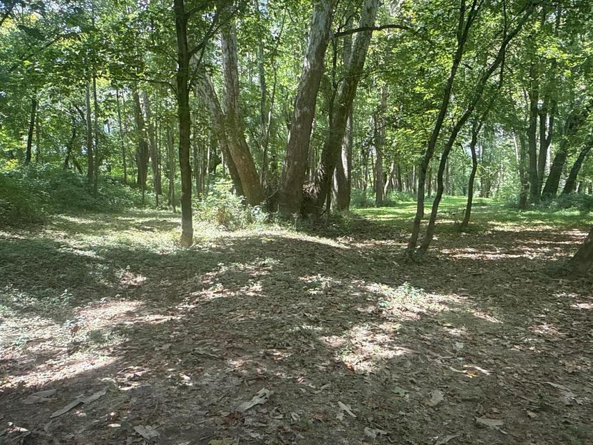 0 Lemaster Road Athens, OH 45701 - Photo 34 of 56 20250814191836472463000000-o