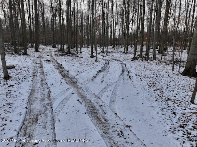 0 South Royston Road Eaton Rapids, MI 48827 - Photo 8 of 15 dji_fly_20241215_170408_0403_17342107448