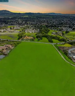 a view of a city with a garden