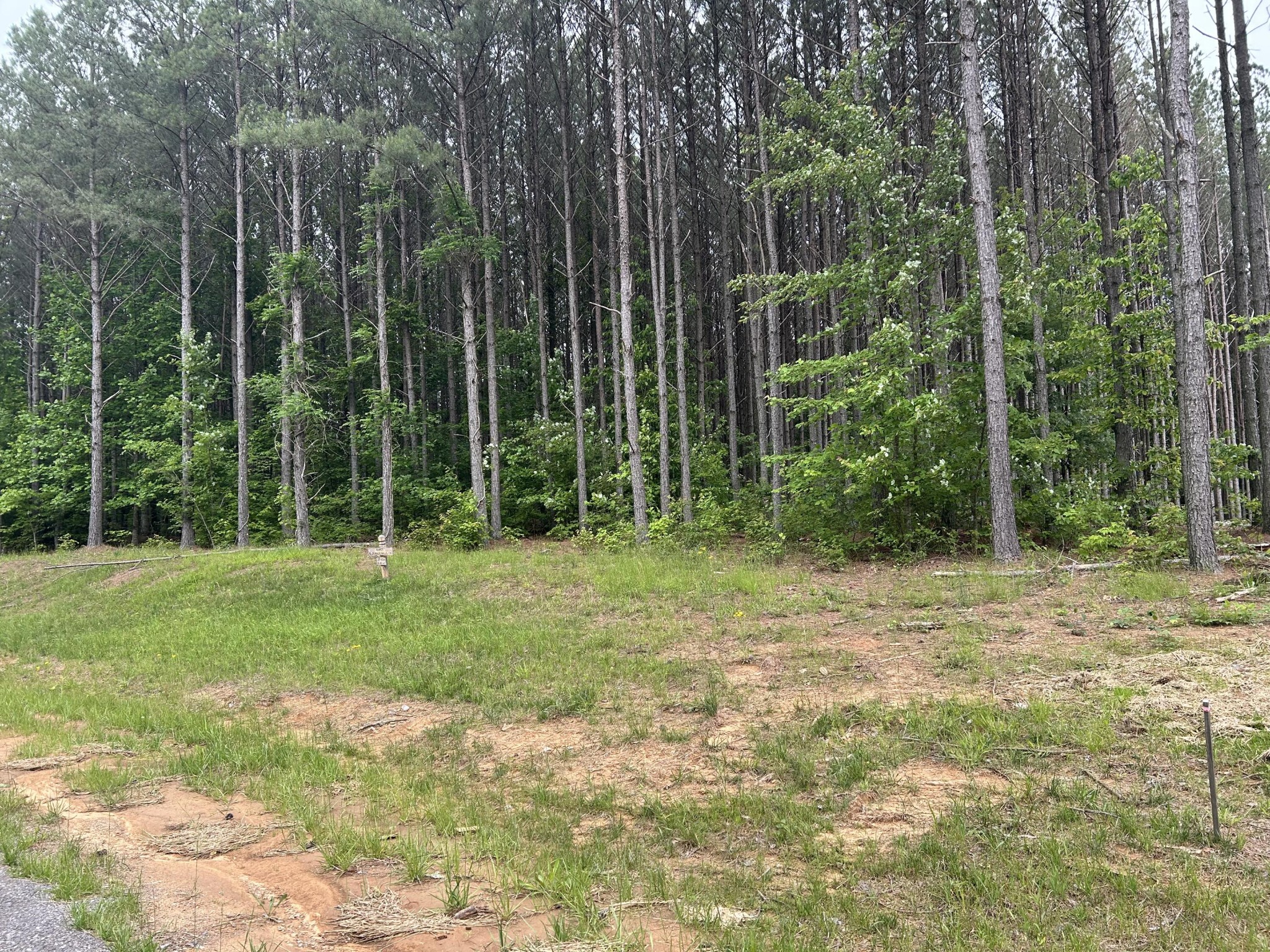 1771 Crockett Point Jasper, TN 37347 - Photo 7 of 40