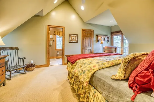 a view of a park with large trees