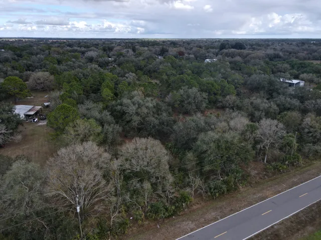a view of a yard next to a road