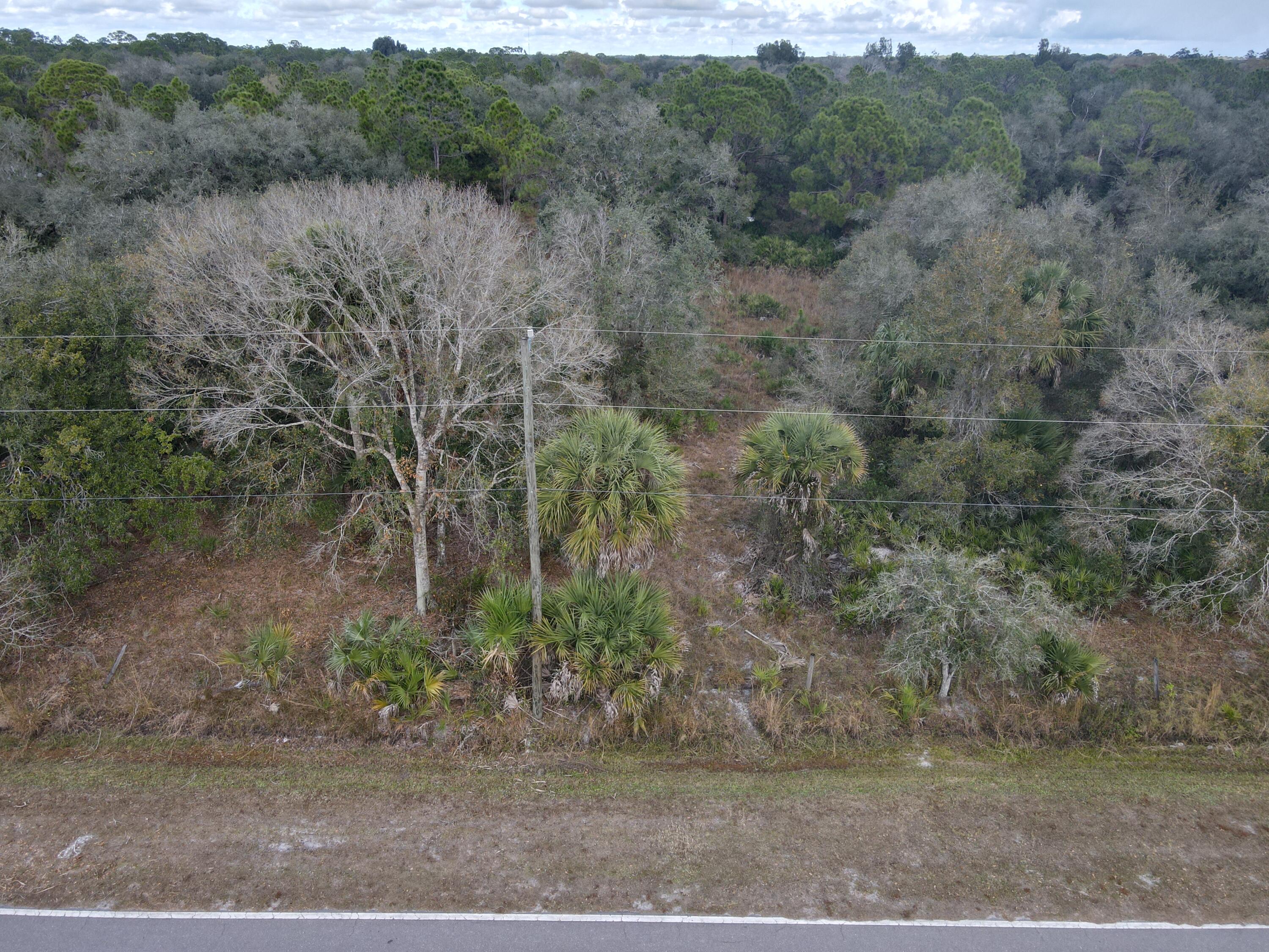 1245 Northwest 98th Street Okeechobee, FL 34972 - Photo 4 of 15 a view of a yard with a tree