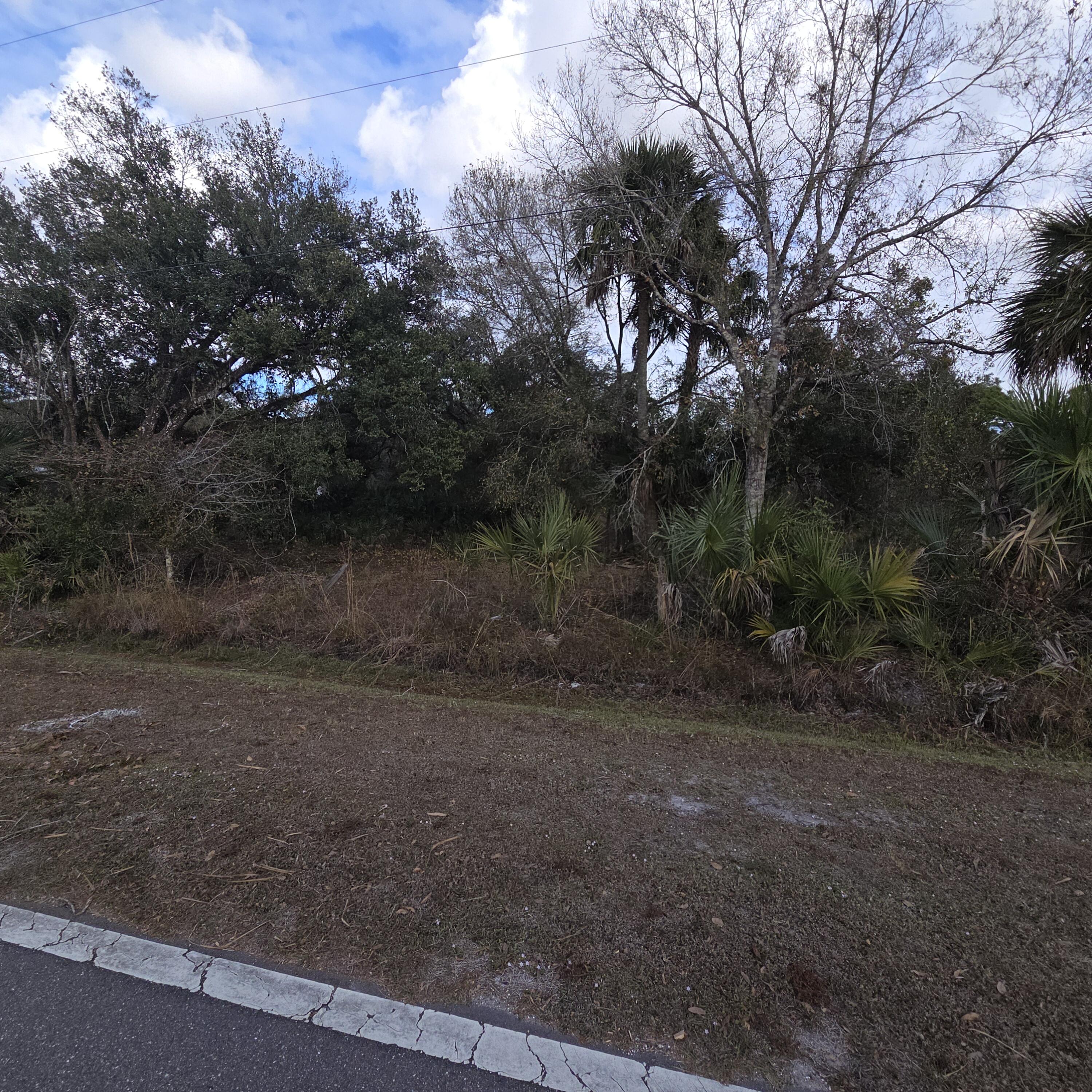 1245 Northwest 98th Street Okeechobee, FL 34972 - Photo 5 of 15 a view of a yard with a tree