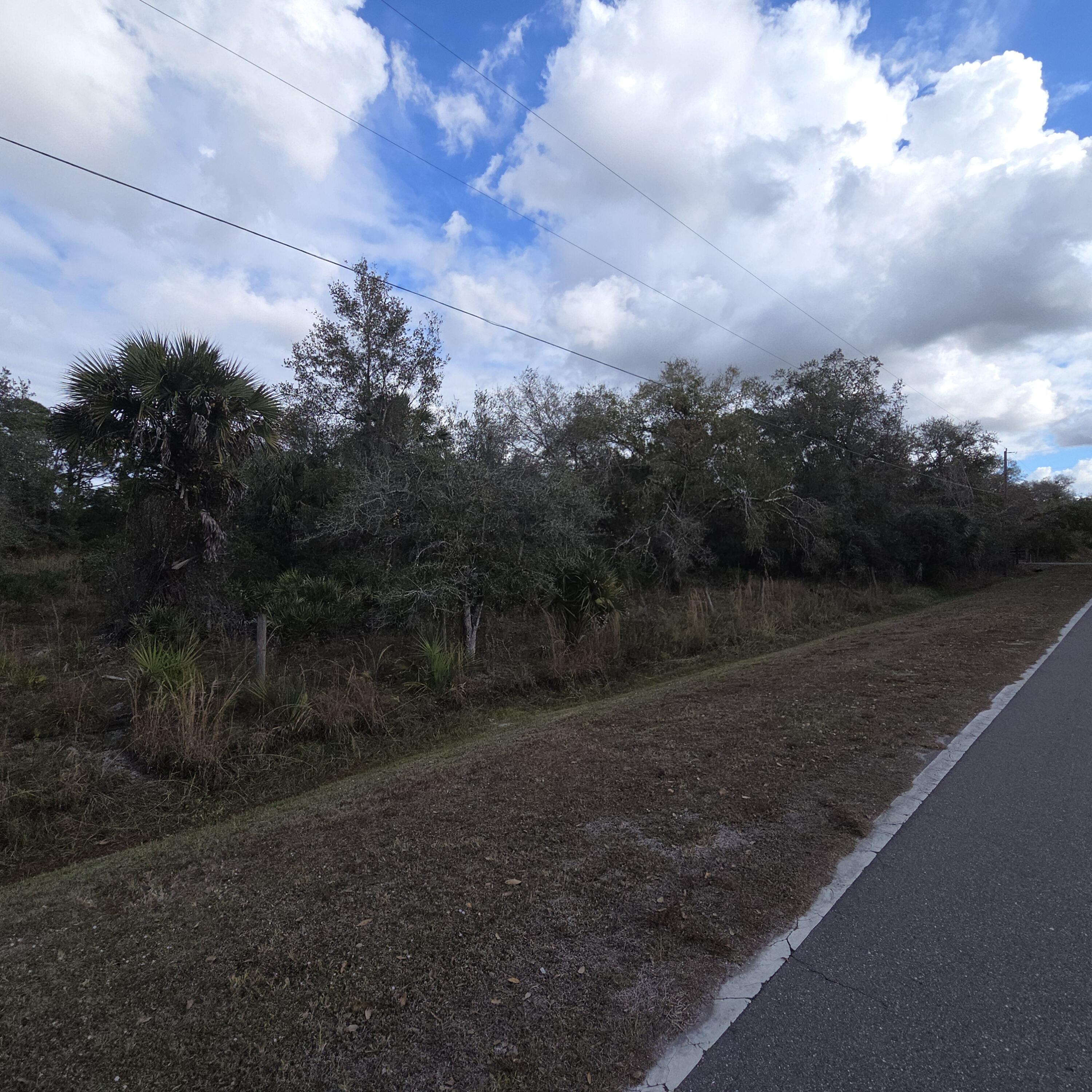 1245 Northwest 98th Street Okeechobee, FL 34972 - Photo 7 of 15 a view of a yard with large trees