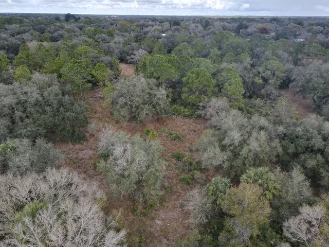 a view of a field of grass and trees