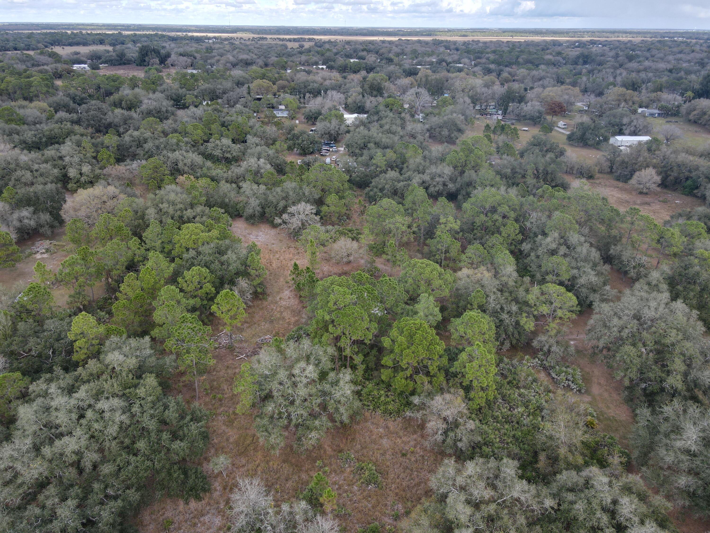 1245 Northwest 98th Street Okeechobee, FL 34972 - Photo 9 of 15 a view of a field with lots of trees