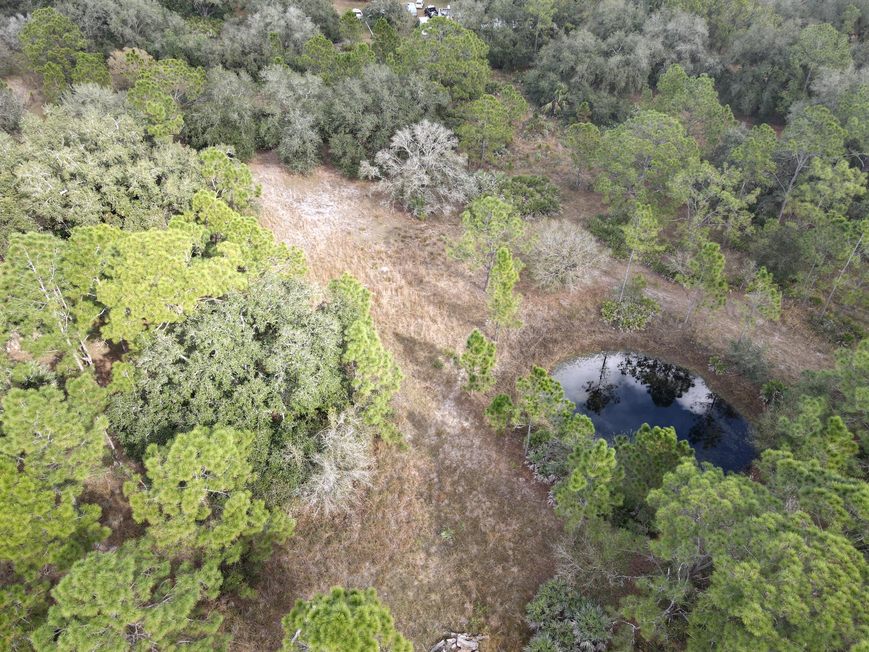 1245 Northwest 98th Street Okeechobee, FL 34972 - Photo 10 of 15 a plant that is in a field