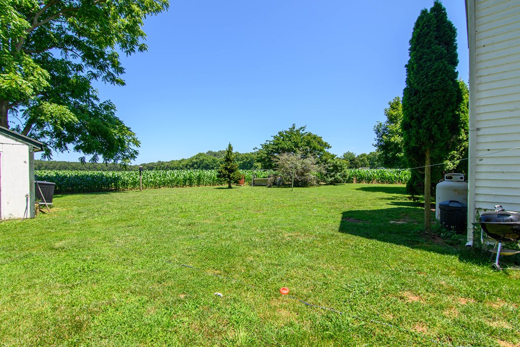 29682 Burtons Shore Road Onley, VA 23418 - Photo 6 of 26