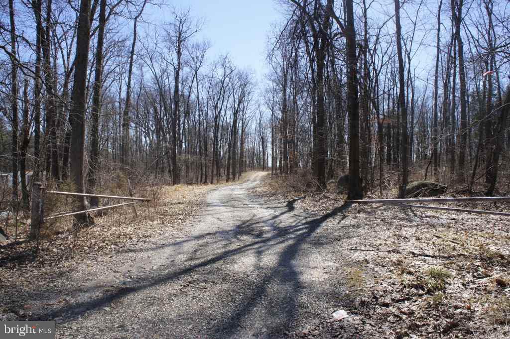 560 Zeigler Road Dover, PA 17315 - Photo 1 of 23 Gallery Image 1