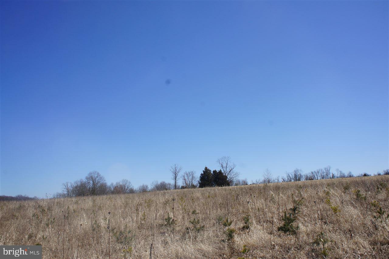 560 Zeigler Road Dover, PA 17315 - Photo 10 of 23 Gallery Image 10