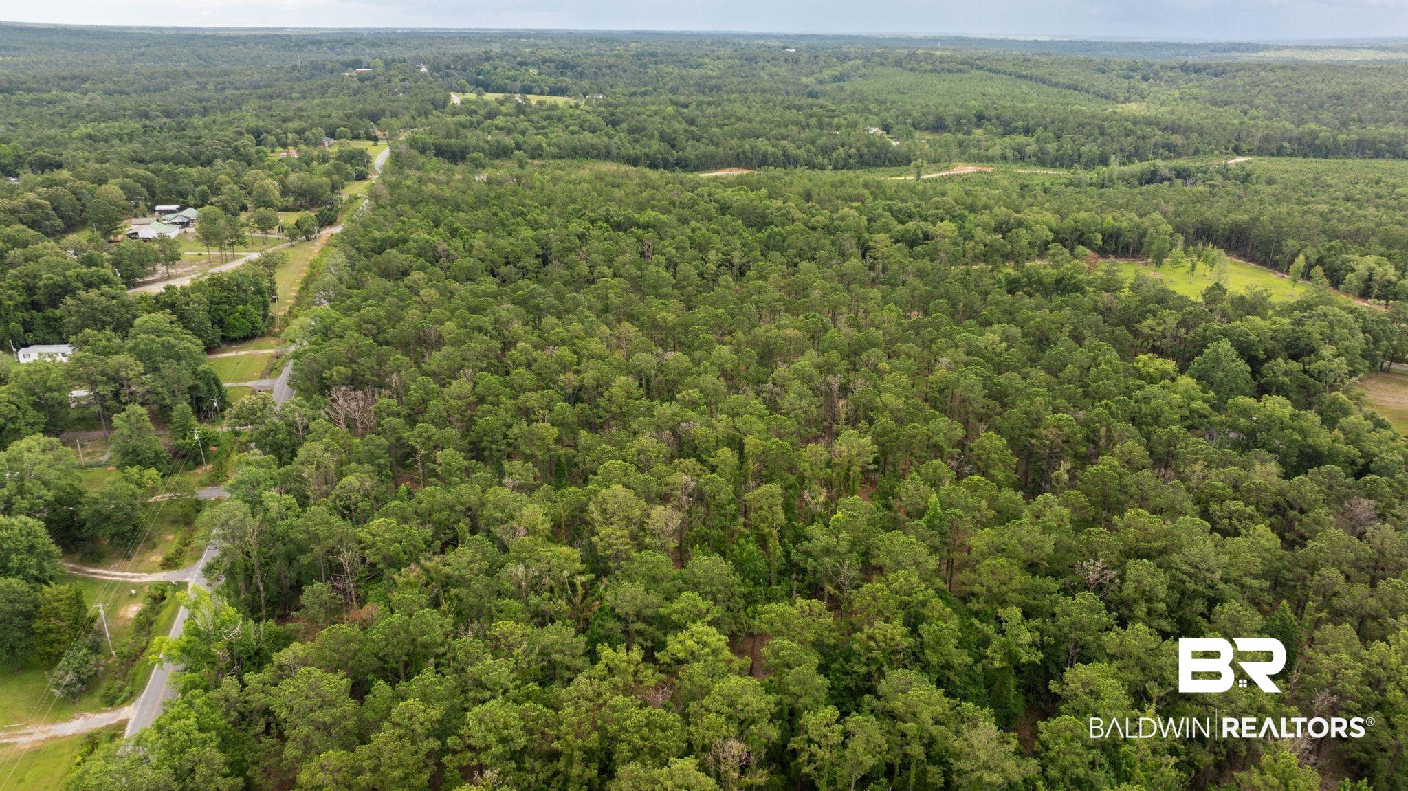0 Hurricane Road Bay Minette, AL 36507 - Photo 22 of 30