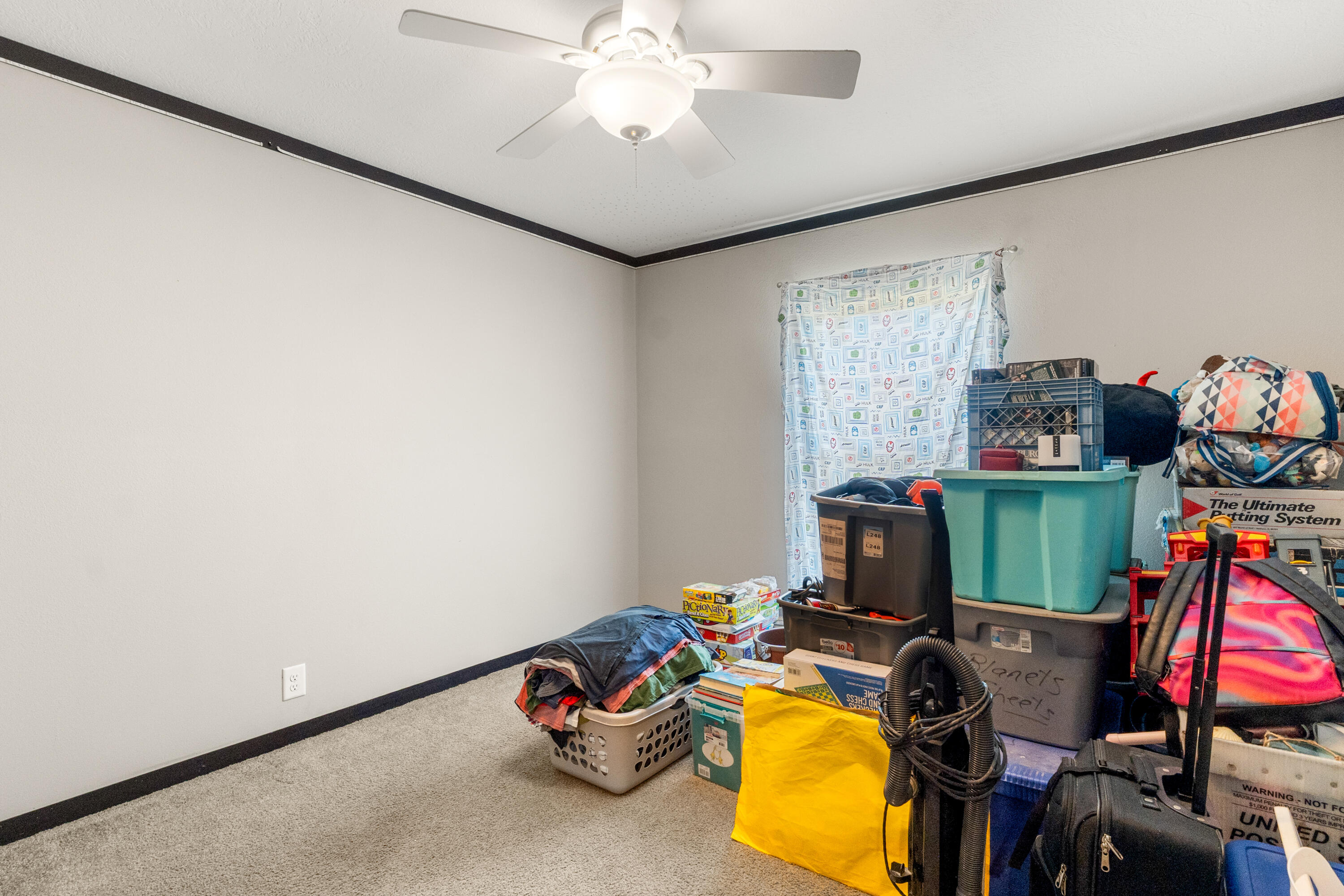 328 Rodeo Drive Eutawville, SC 29048 - Photo 16 of 34 rodeo-48