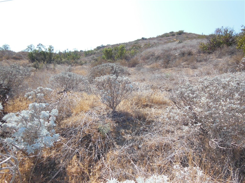 Pala Road Fallbrook, CA 92028 - Photo 8 of 10