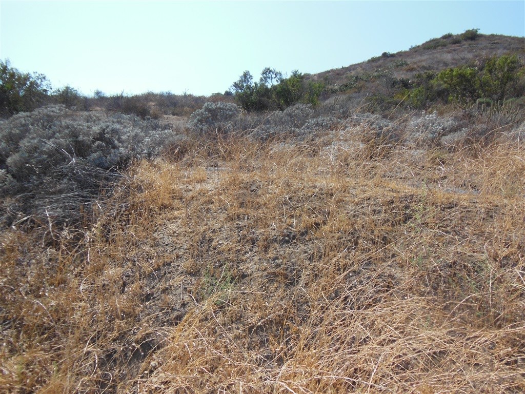 Pala Road Fallbrook, CA 92028 - Photo 9 of 10