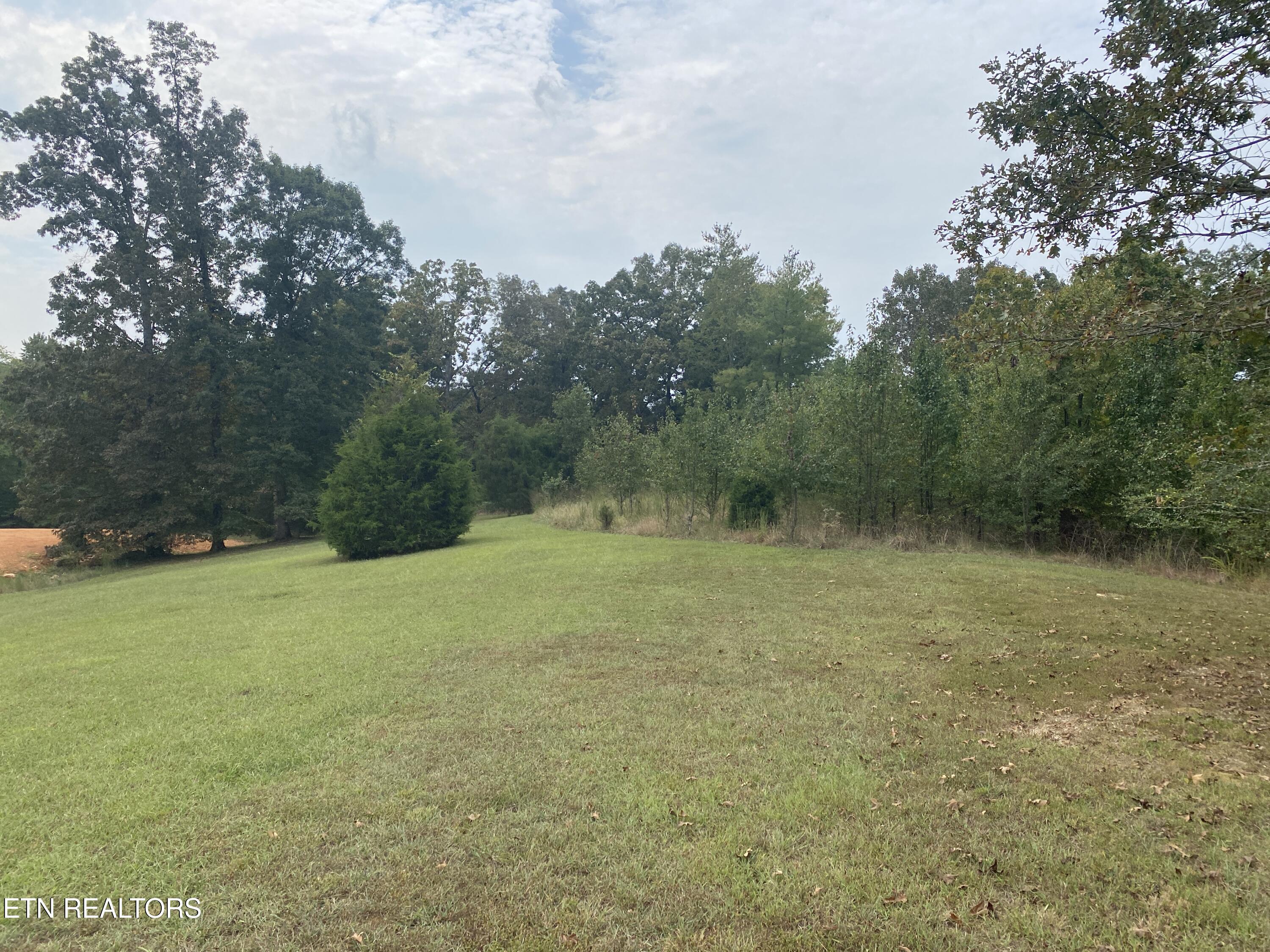 Harbor Drive Spring City, TN 37381 - Photo 11 of 32 014