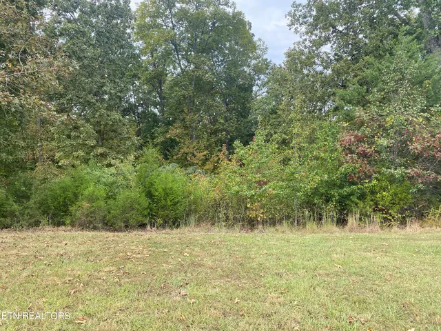 $95,000 | Harbor Drive, Spring City, TN 37381