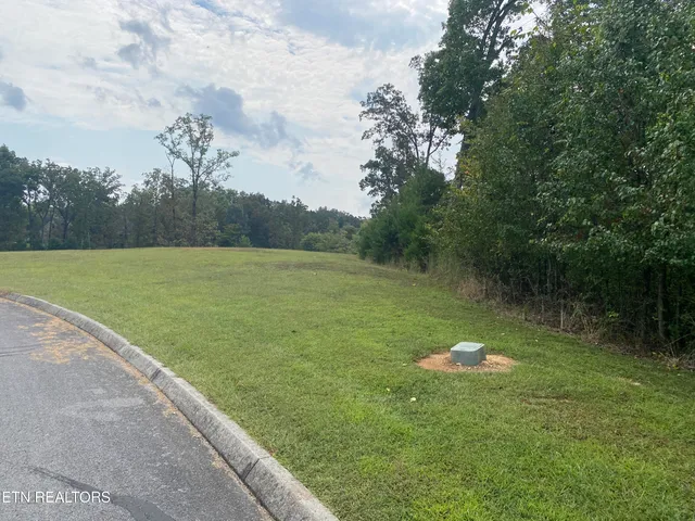 $95,000 | Harbor Drive, Spring City, TN 37381