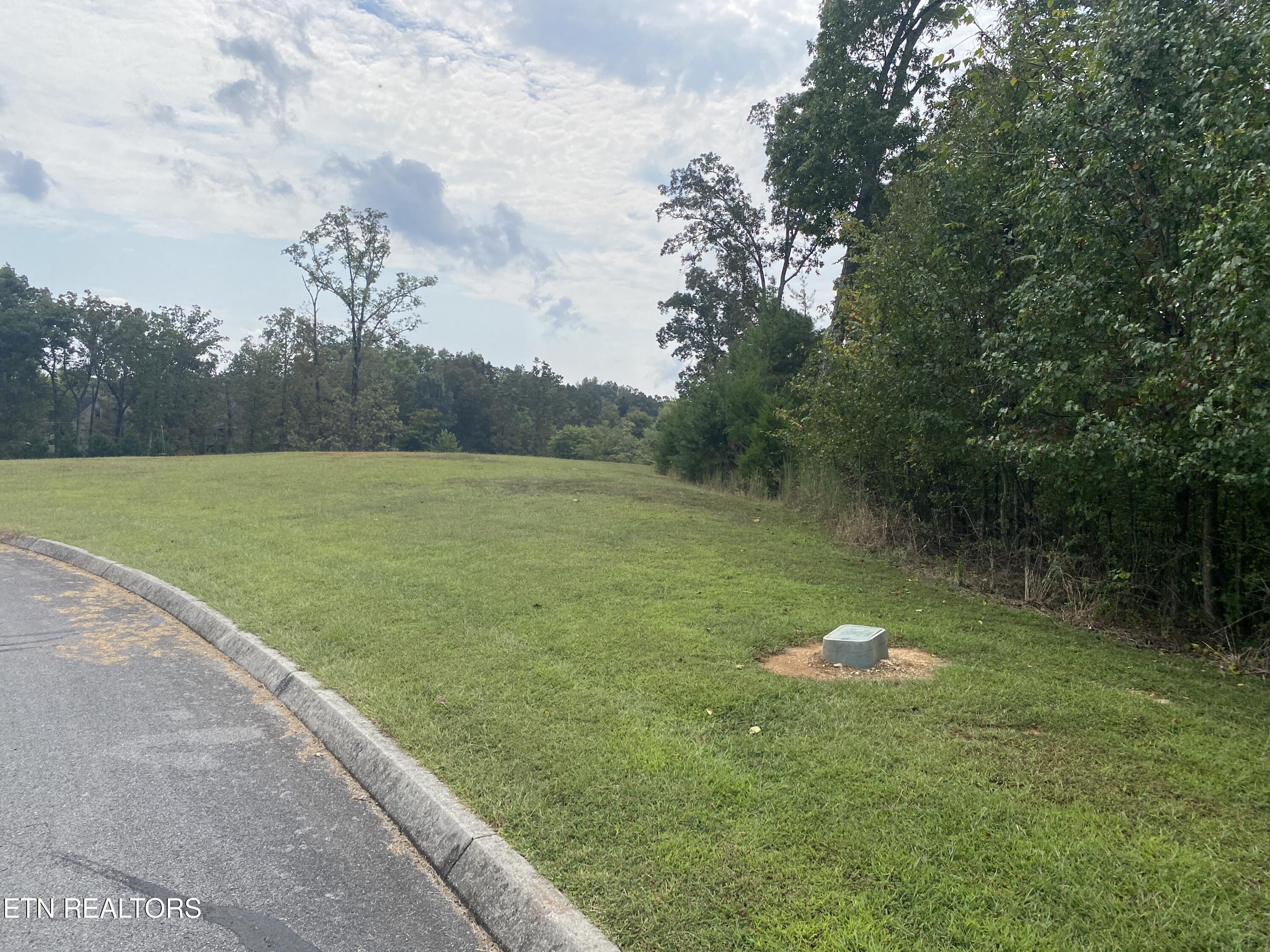 Harbor Drive Spring City, TN 37381 - Photo 14 of 32 017