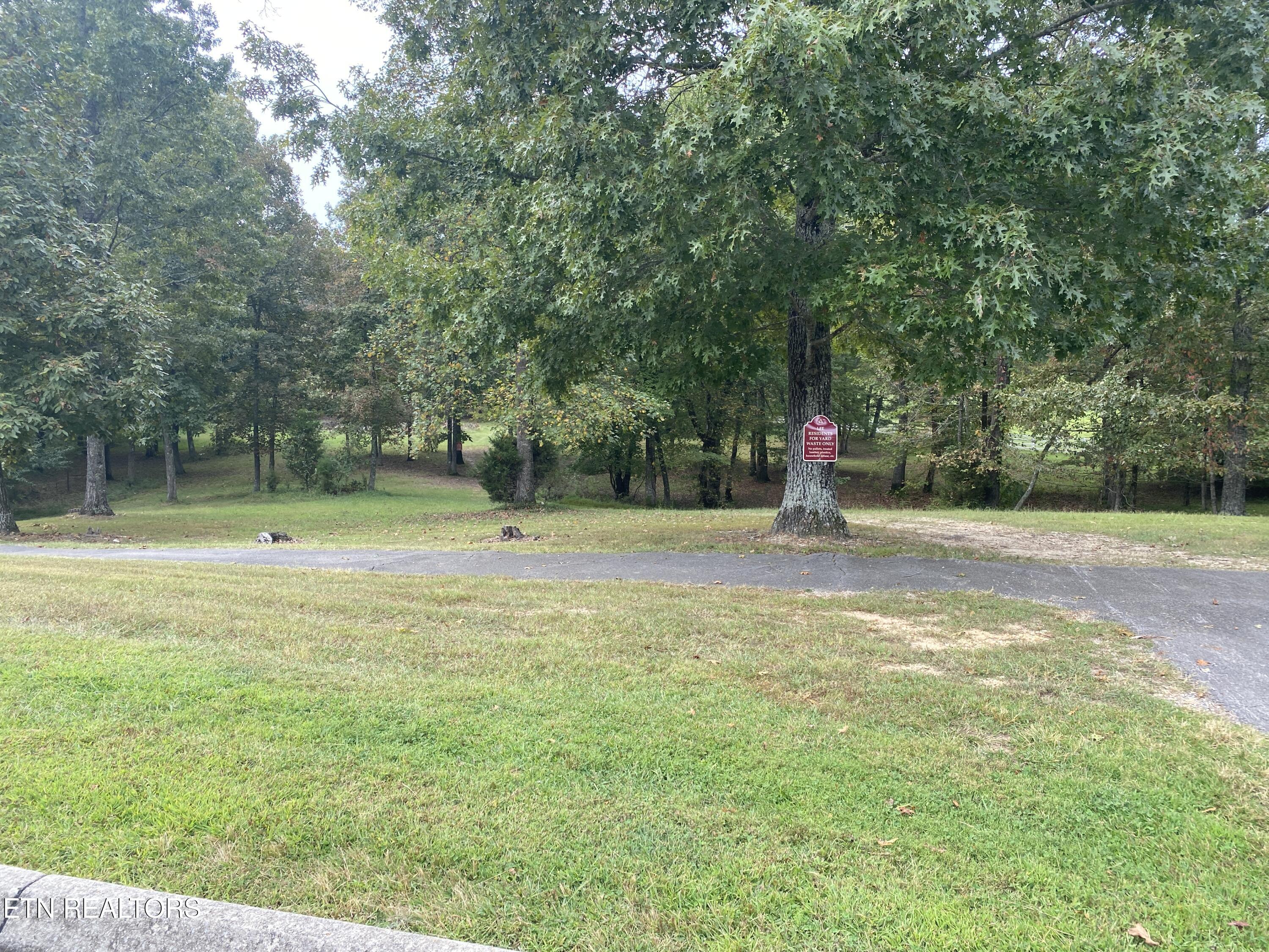 Harbor Drive Spring City, TN 37381 - Photo 15 of 32 018