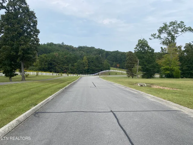 $95,000 | Harbor Drive, Spring City, TN 37381