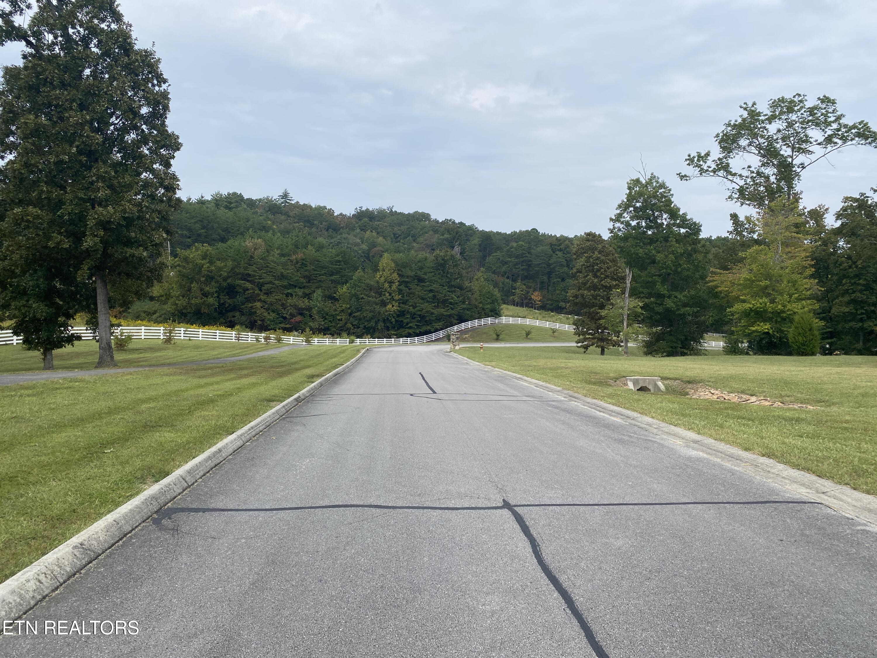 Harbor Drive Spring City, TN 37381 - Photo 16 of 32 019