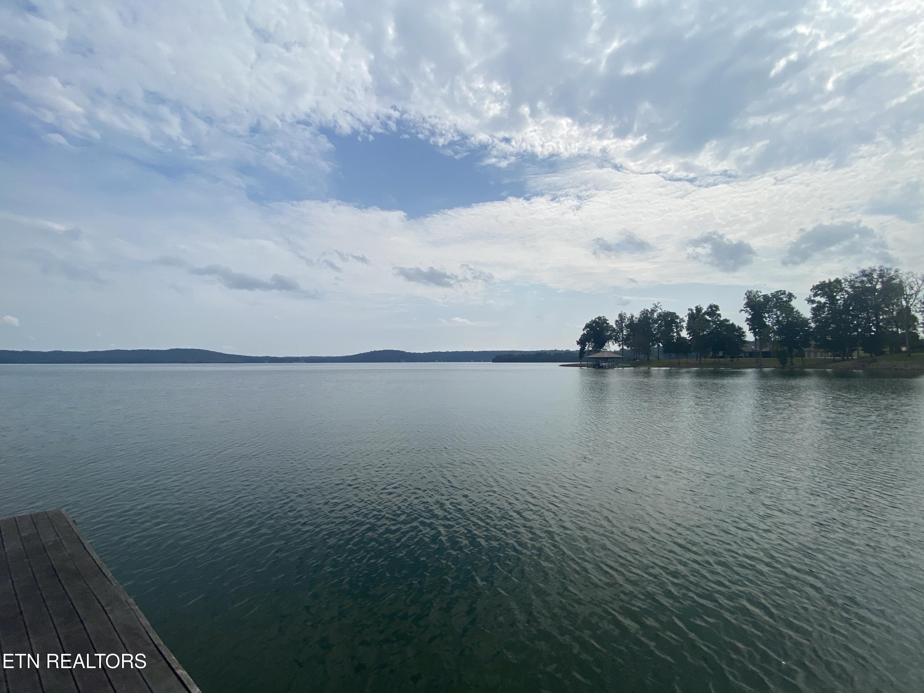 Harbor Drive Spring City, TN 37381 - Photo 7 of 32 025