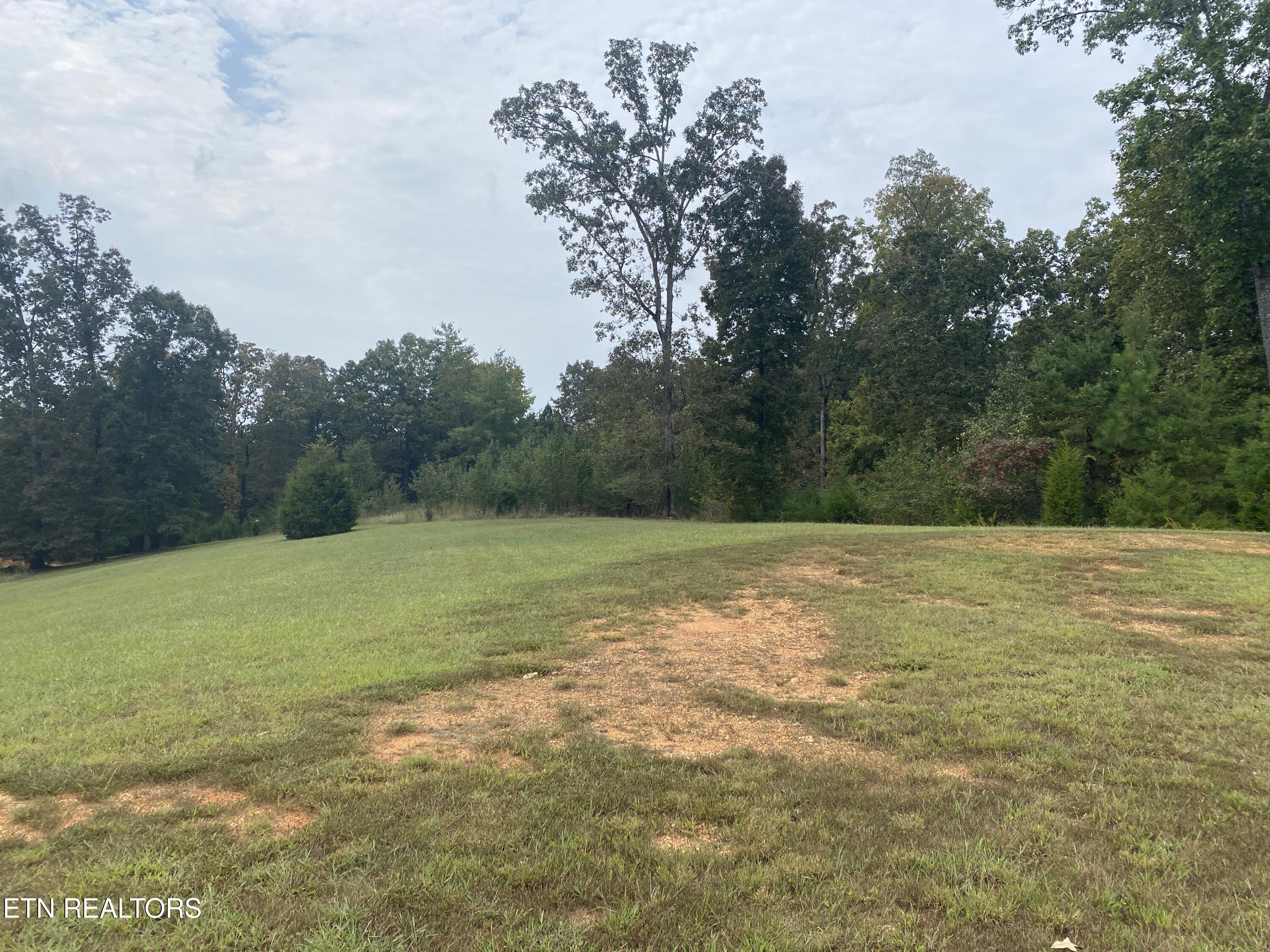 Harbor Drive Spring City, TN 37381 - Photo 9 of 32 012