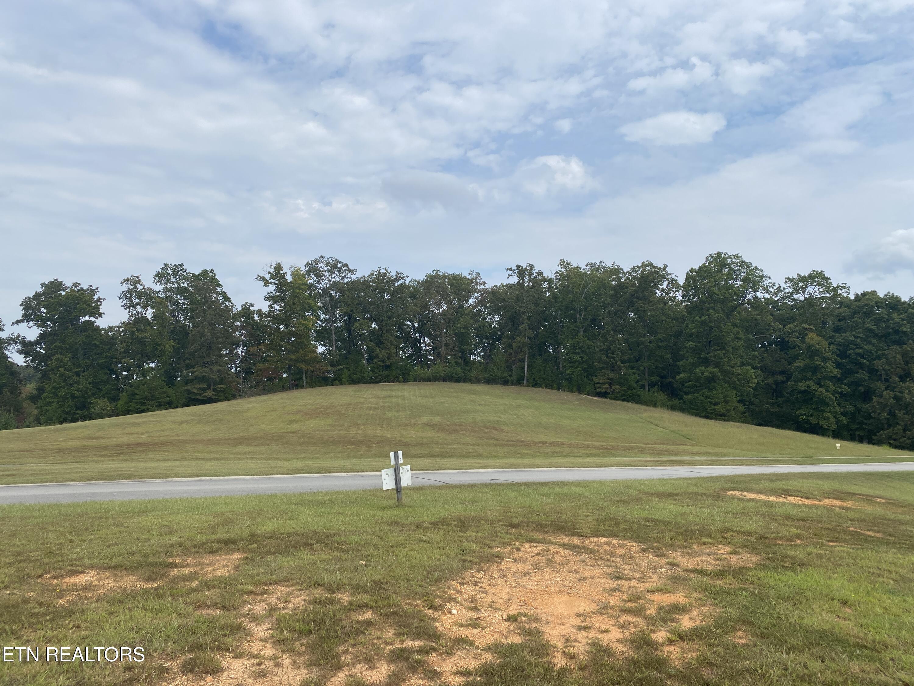 Harbor Drive Spring City, TN 37381 - Photo 10 of 32 013