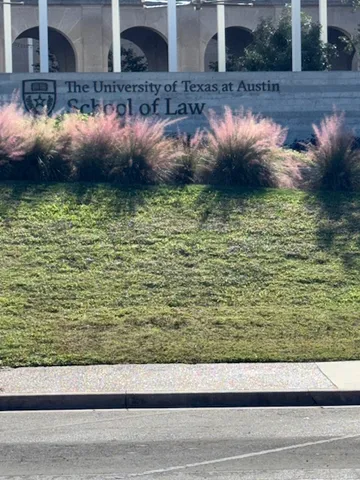 a view of swimming pool from a yard