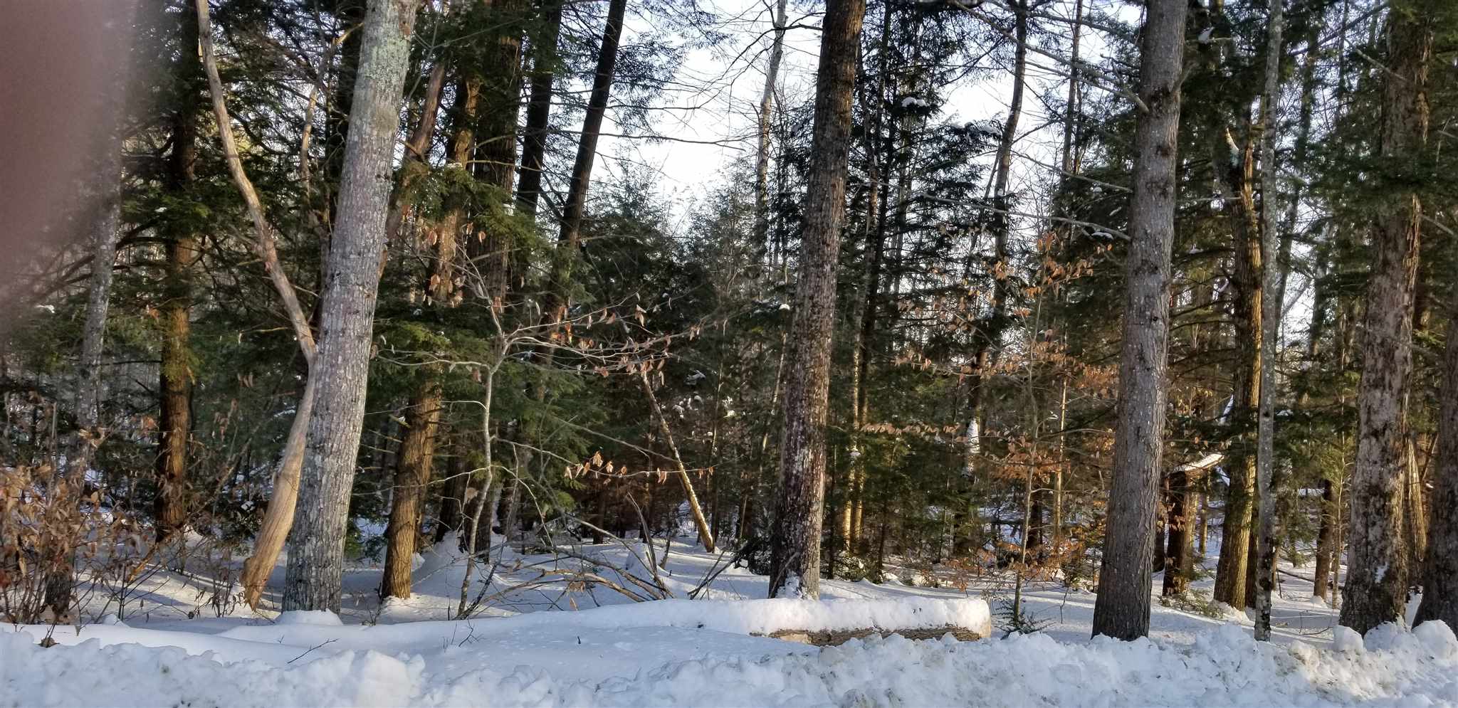 38 Page Road, Unit LOT 3 Campton, NH 03223 - Photo 5 of 8