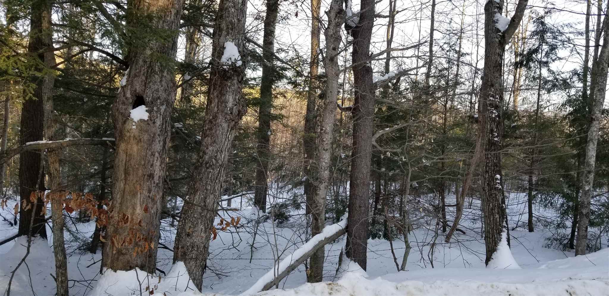 38 Page Road, Unit LOT 3 Campton, NH 03223 - Photo 8 of 8
