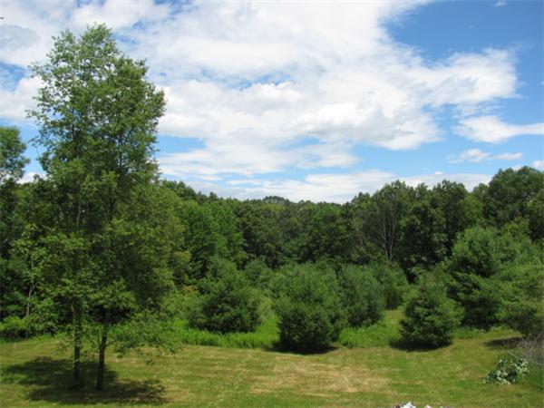 84 Hoosac Road Deerfield, MA 01342 - Photo 2 of 26 Gallery Image 2