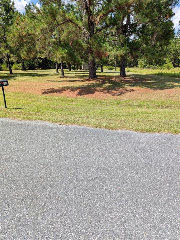 9535 Northwest 147th Terrace Lake Butler, FL 32054 - Photo 13 of 21