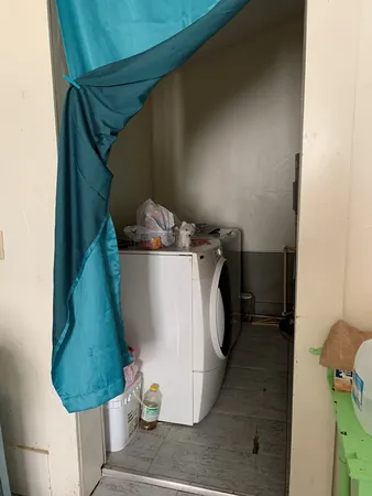 a view of a yard with plants and trees